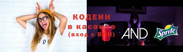 крисы Алексин