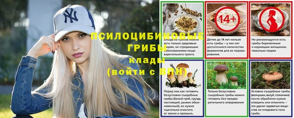 крисы Алексин