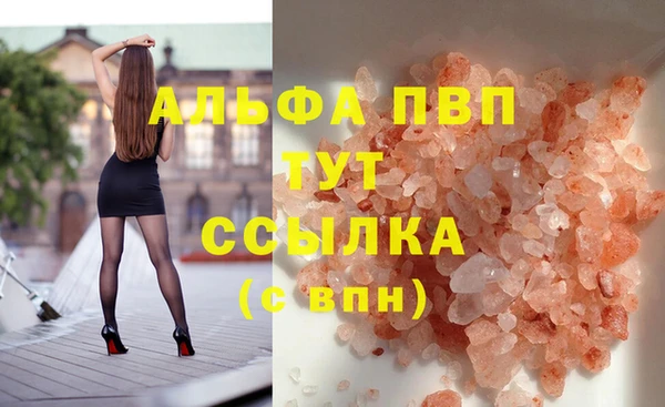 крисы Алексин