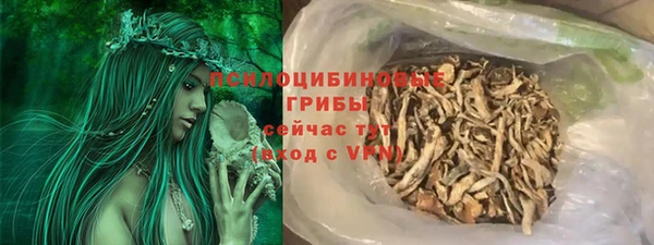 гидра Алзамай