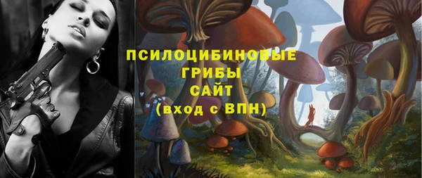 гидра Алзамай