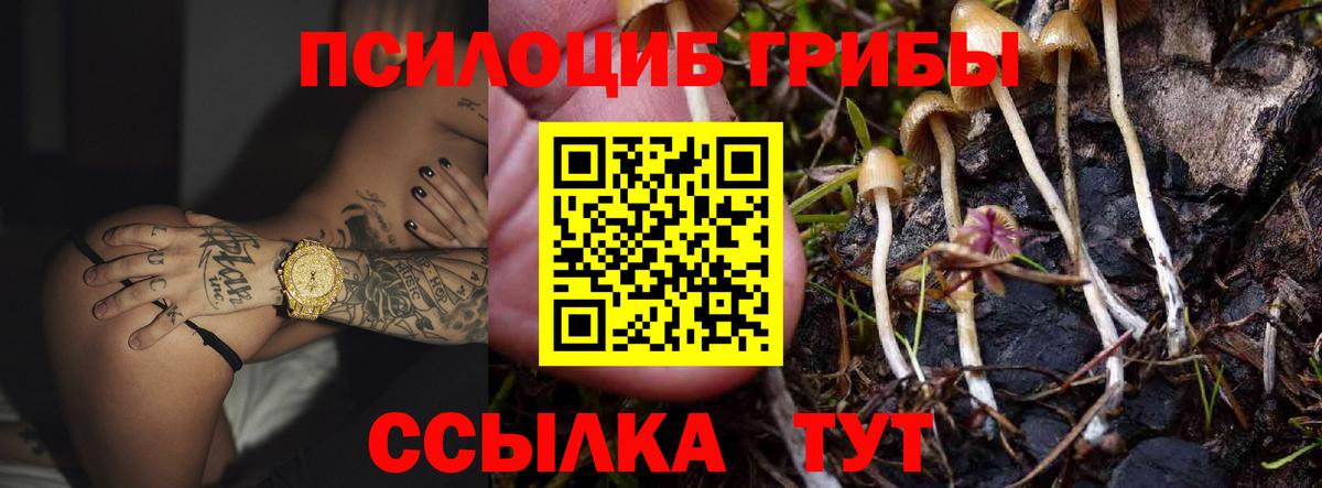 Псилоцибиновые грибы MAGIC MUSHROOMS Михайловск