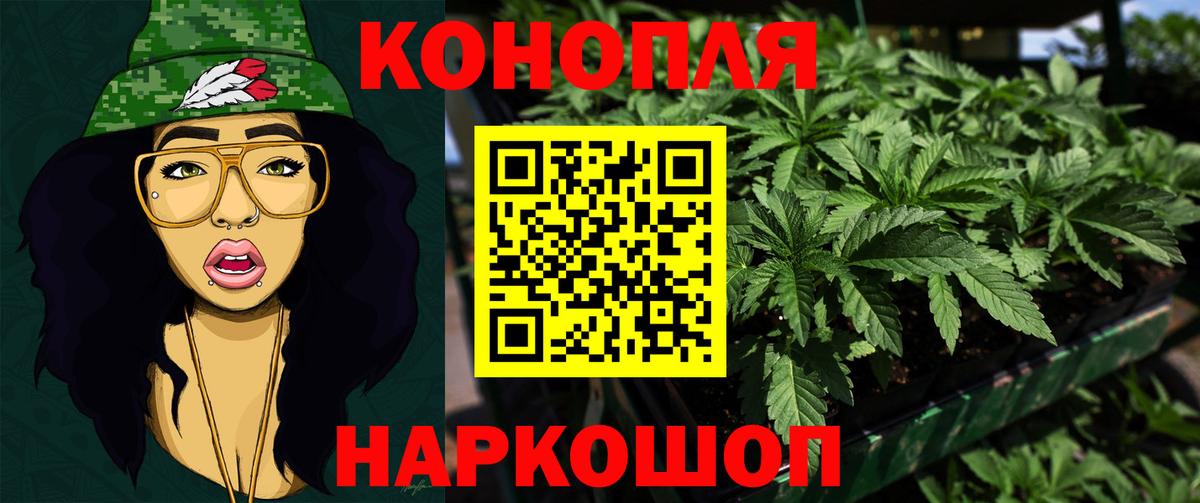 Бошки Шишки Amnesia Михайловск